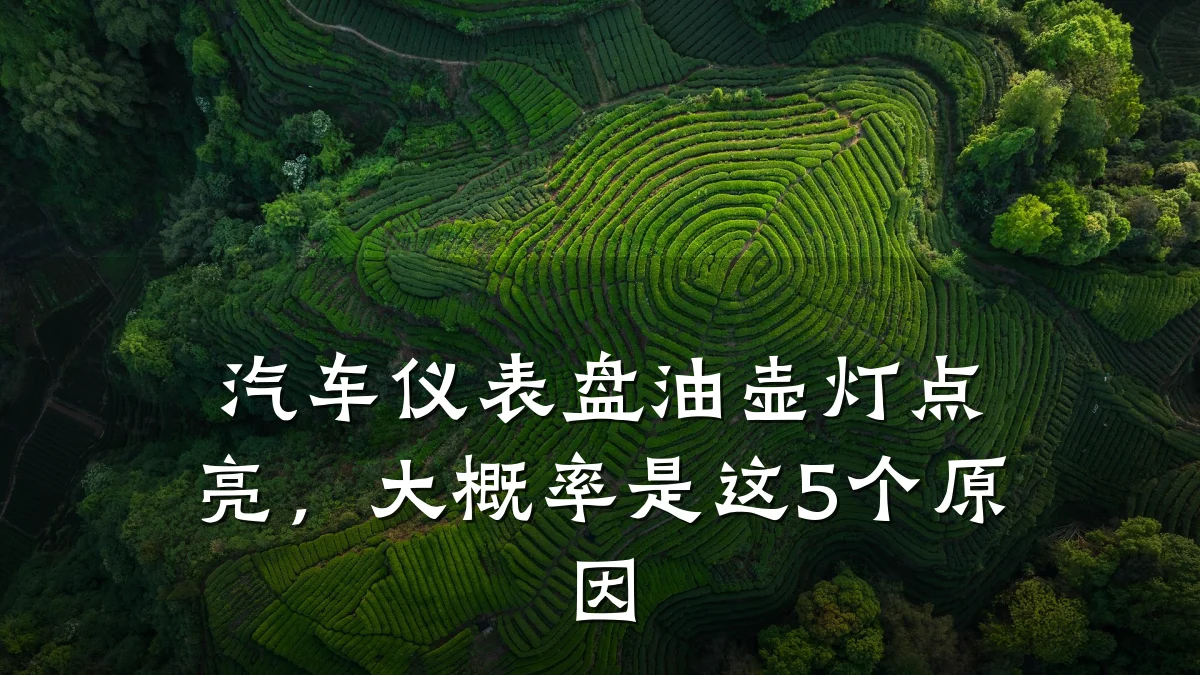 汽车仪表盘油壶灯点亮,大概率是这5个原因