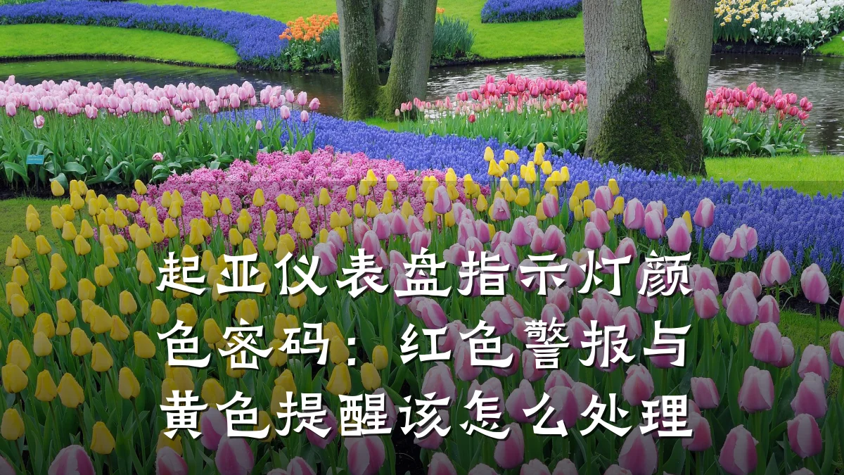 起亚仪表盘指示灯颜色密码:红色警报与黄色提醒该怎么处理