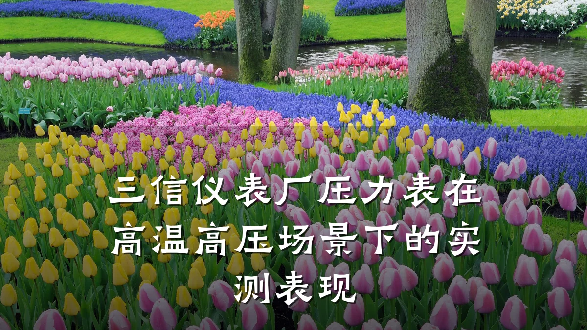 三信仪表厂压力表在高温高压场景下的实测表现