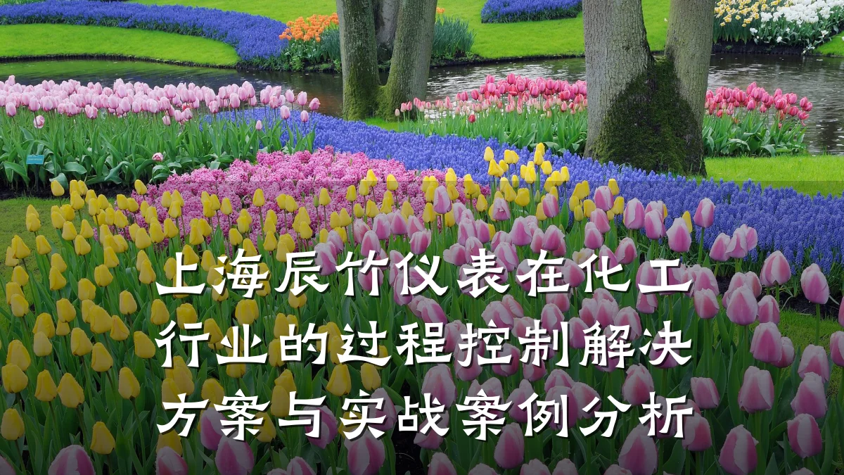 上海辰竹仪表在化工行业的过程控制解决方案与实战案例分析