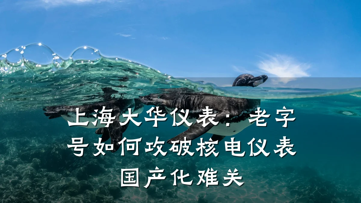 上海大华仪表:老字号如何攻破核电仪表国产化难关