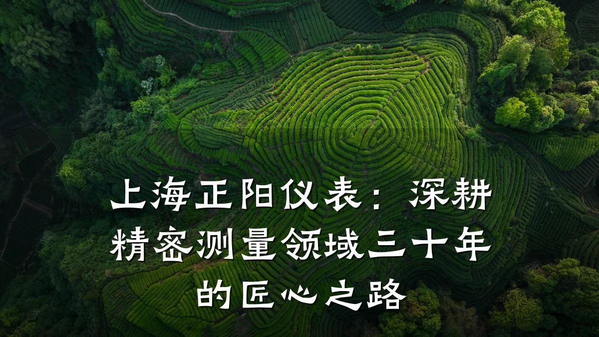 上海正阳仪表:深耕精密测量领域三十年的匠心之路