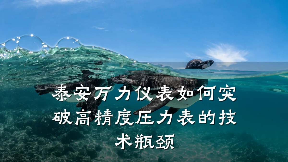 泰安万力仪表如何突破高精度压力表的技术瓶颈