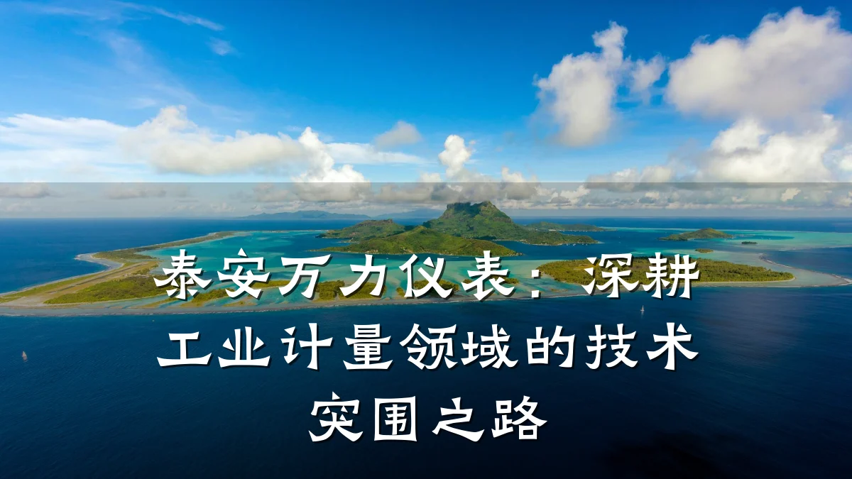 泰安万力仪表:深耕工业计量领域的技术突围之路