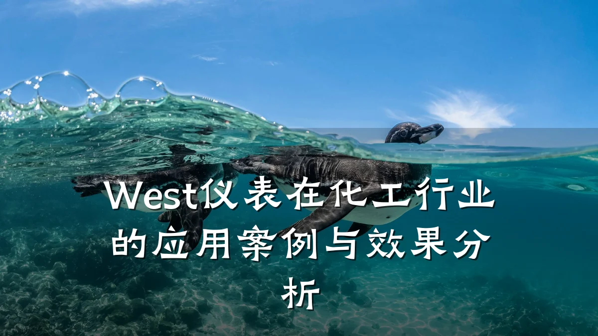 West仪表在化工行业的应用案例与效果分析