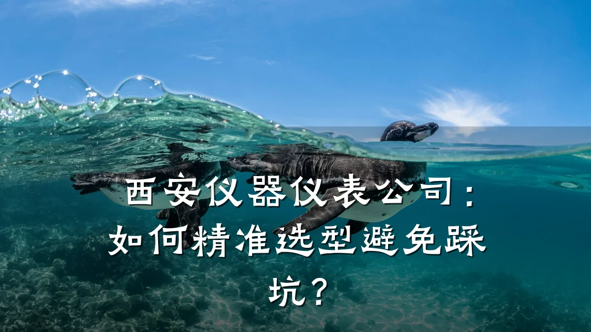 西安仪器仪表公司：如何精准选型避免踩坑？