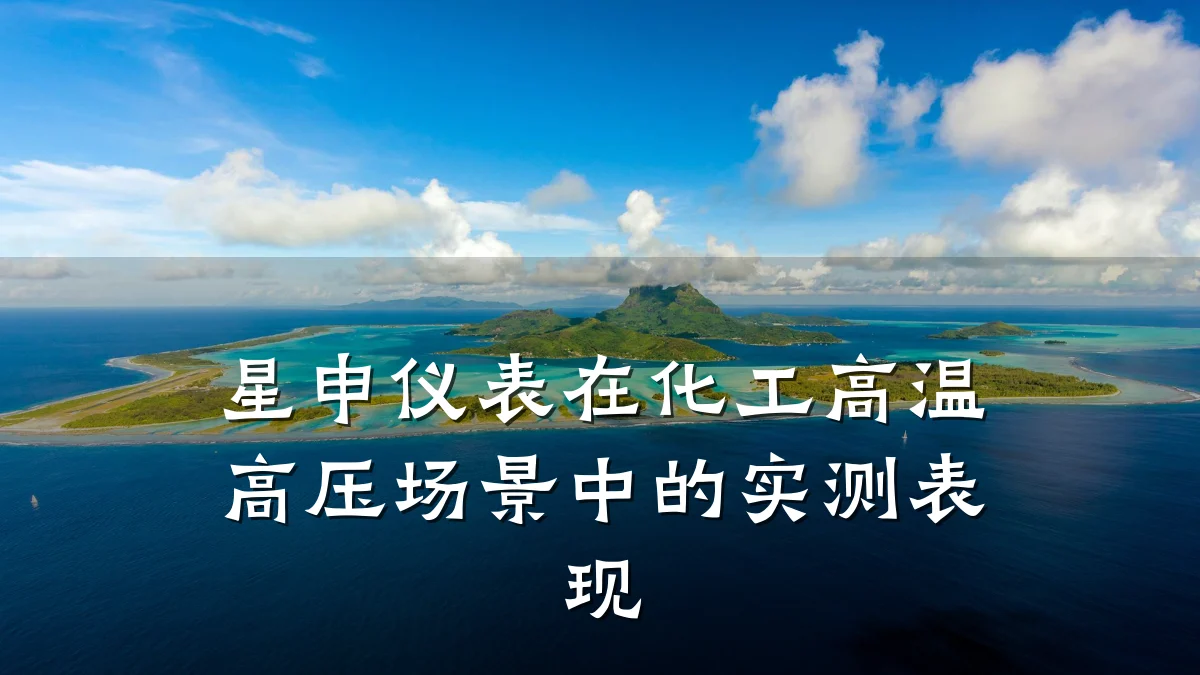 星申仪表在化工高温高压场景中的实测表现