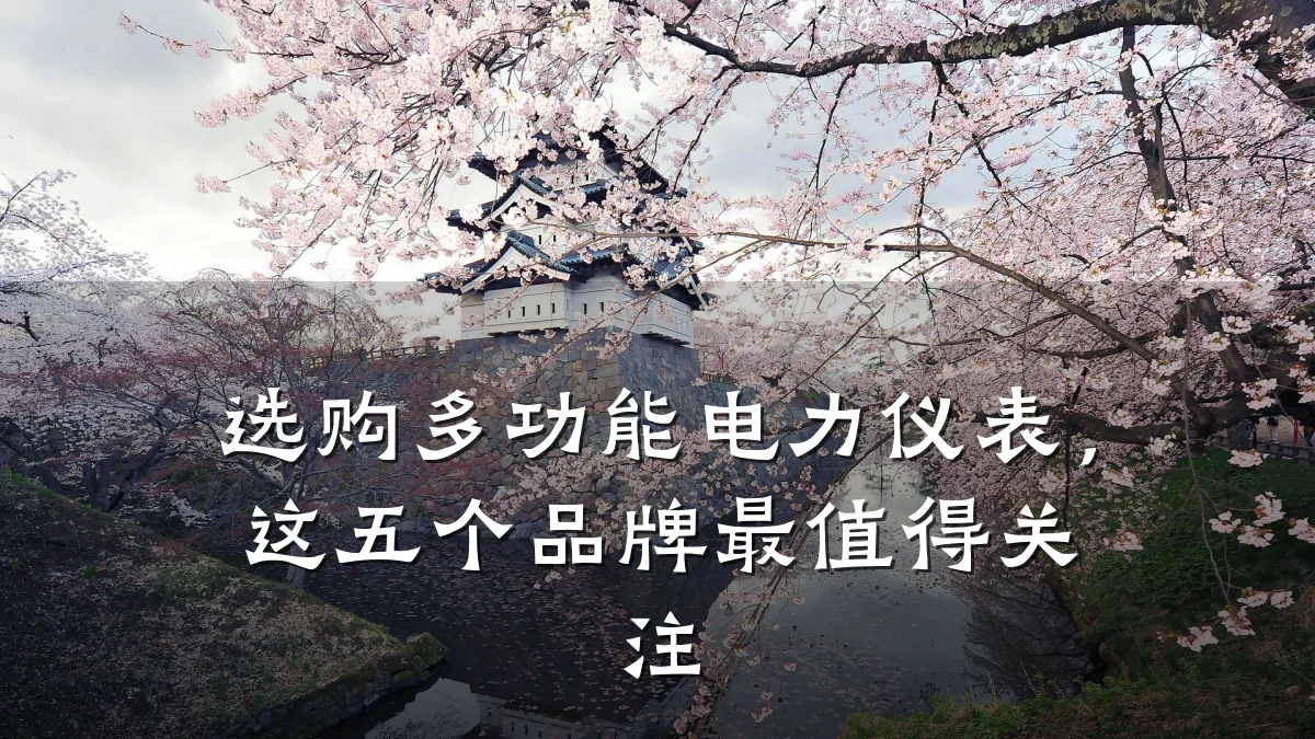 选购多功能电力仪表，这五个品牌最值得关注
