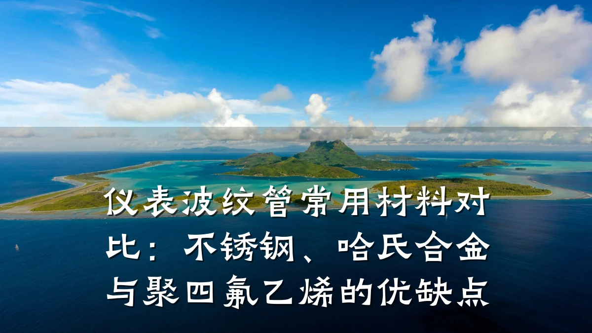 仪表波纹管常用材料对比:不锈钢、哈氏合金与聚四氟乙烯的优缺点