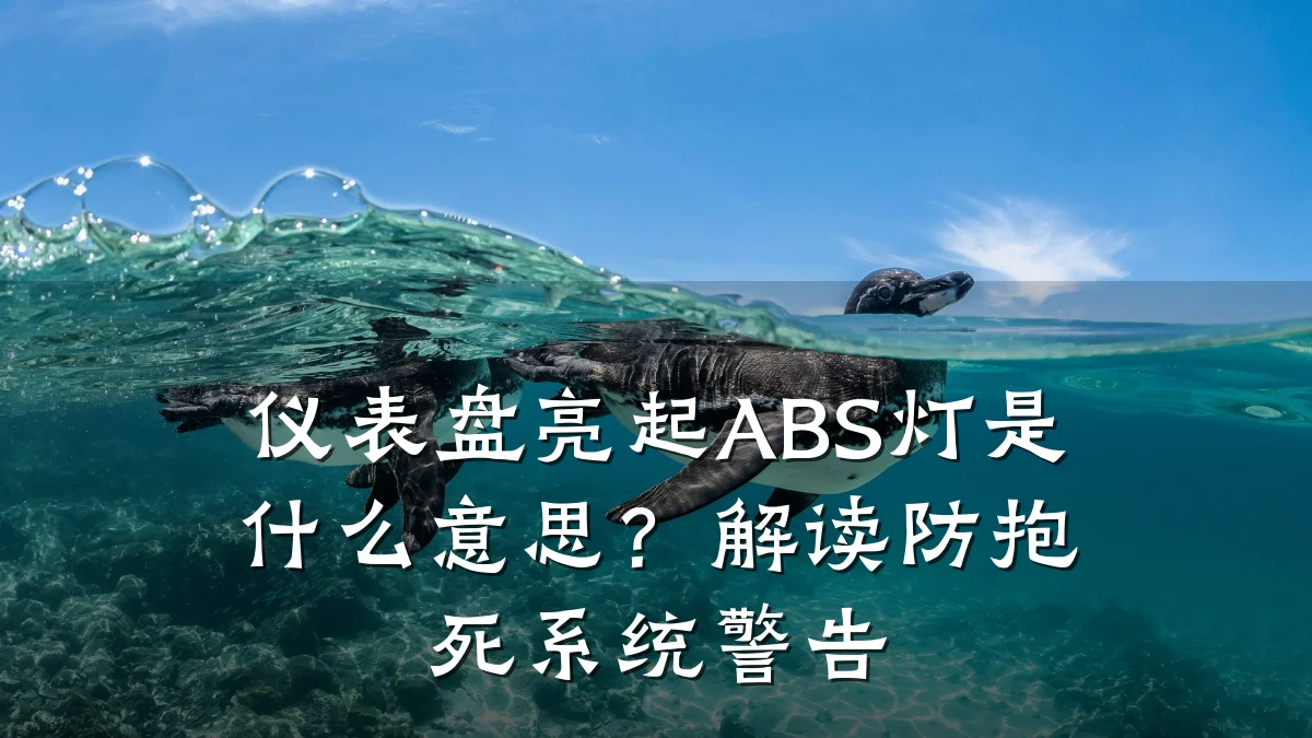 仪表盘亮起ABS灯是什么意思?解读防抱死系统警告