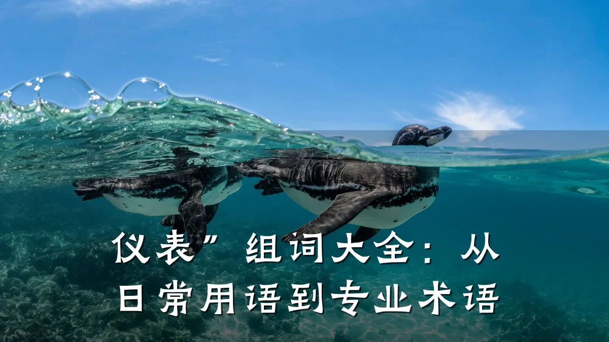 仪表”组词大全:从日常用语到专业术语