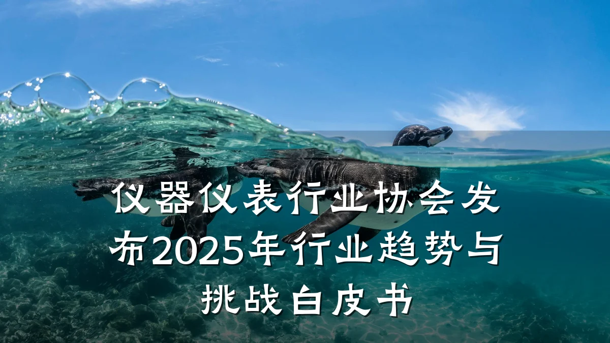 仪器仪表行业协会发布2025年行业趋势与挑战白皮书