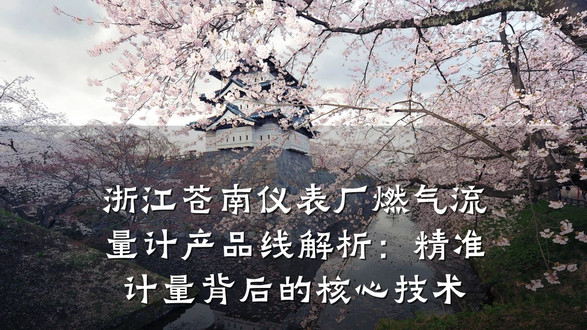 浙江苍南仪表厂燃气流量计产品线解析:精准计量背后的核心技术
