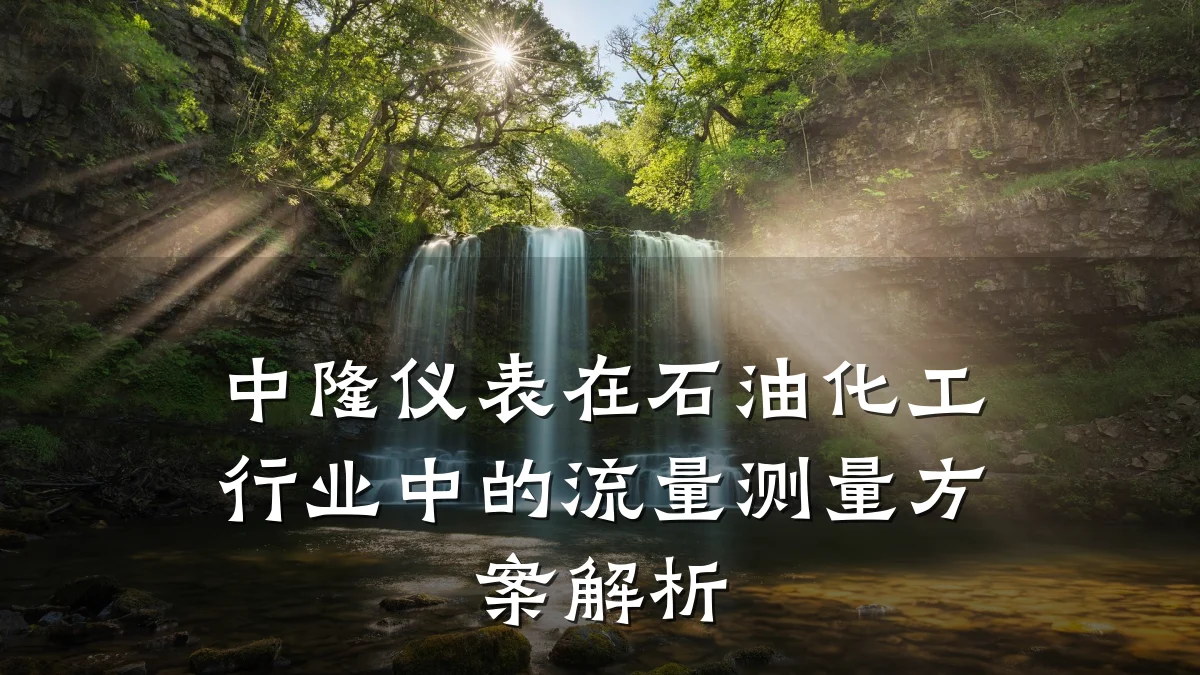 中隆仪表在石油化工行业中的流量测量方案解析