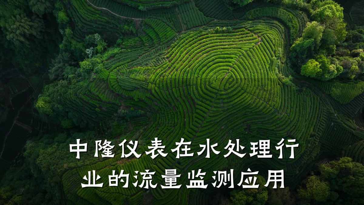 中隆仪表在水处理行业的流量监测应用