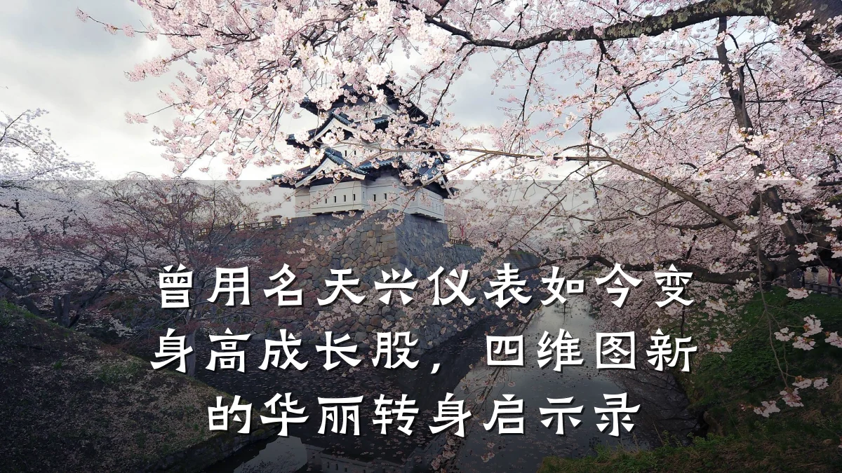 曾用名天兴仪表如今变身高成长股,四维图新的华丽转身启示录