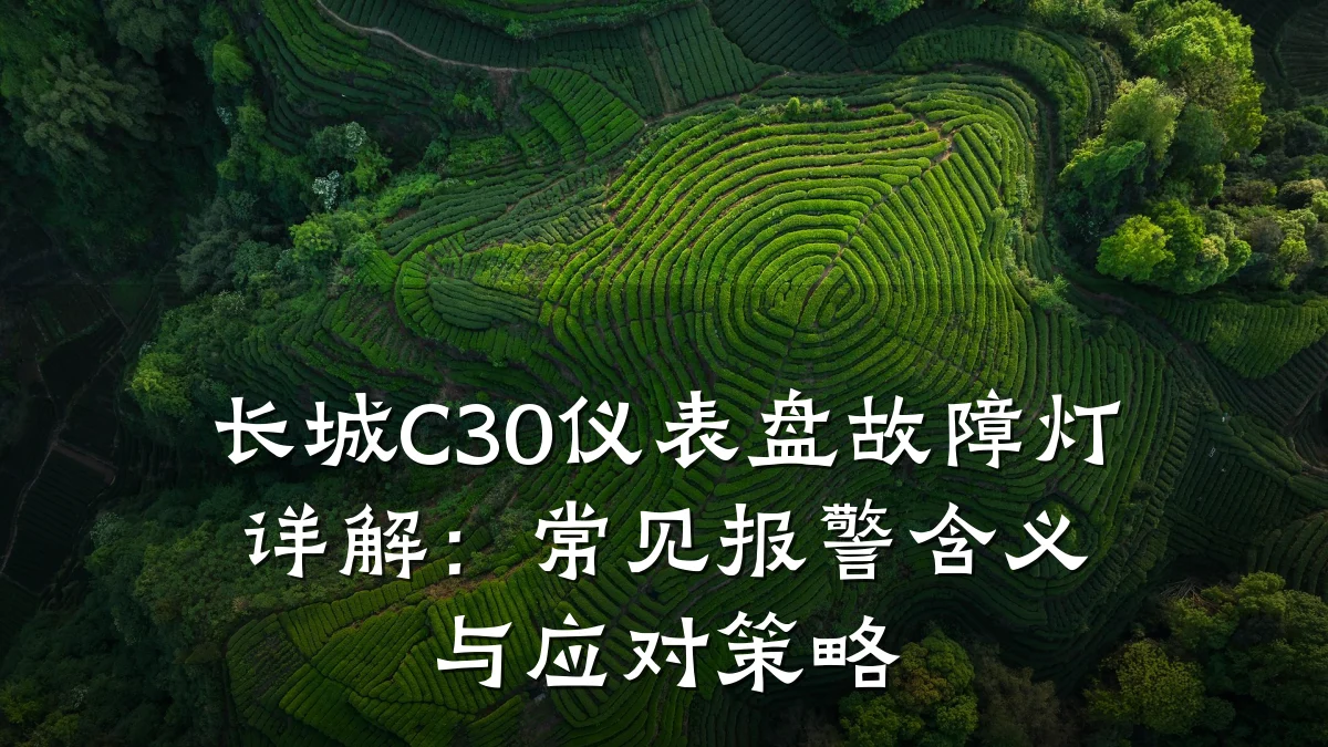 长城C30仪表盘故障灯详解:常见报警含义与应对策略