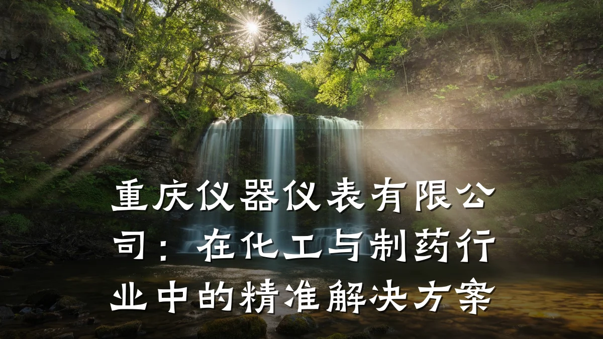 重庆仪器仪表有限公司:在化工与制药行业中的精准解决方案