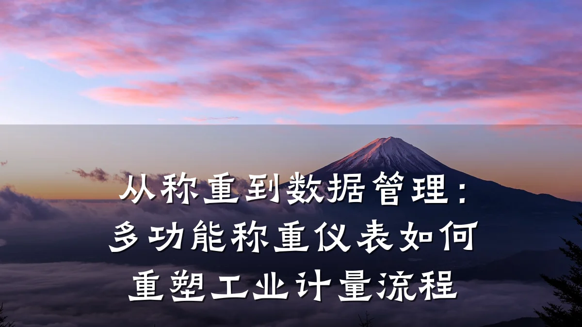 从称重到数据管理：多功能称重仪表如何重塑工业计量流程