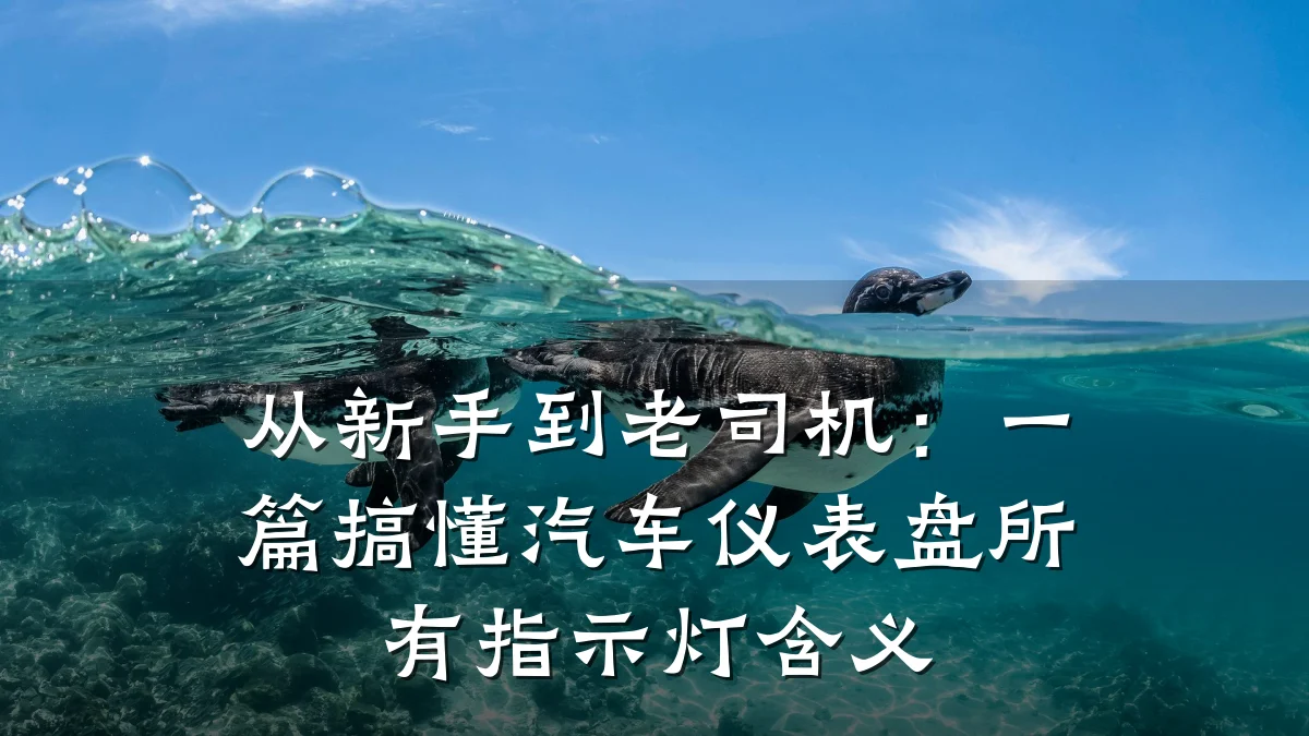 从新手到老司机:一篇搞懂汽车仪表盘所有指示灯含义