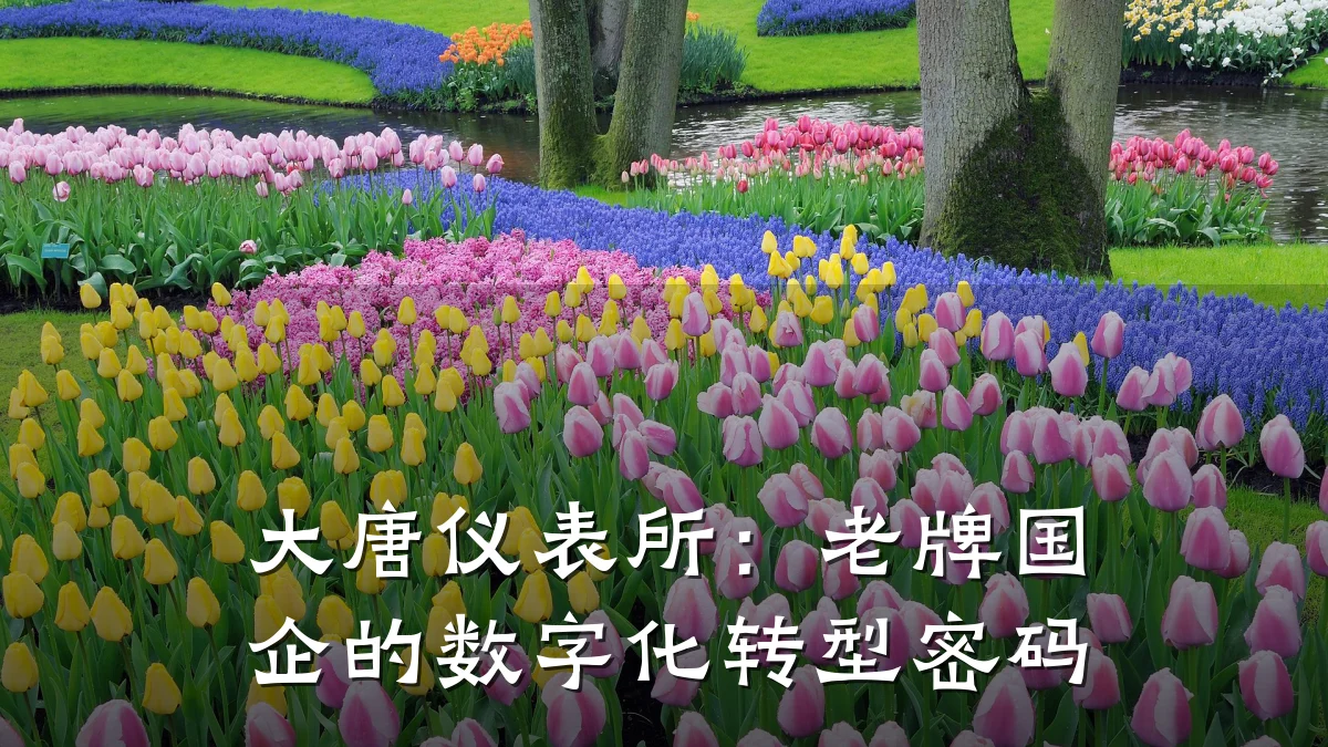 大唐仪表所:老牌国企的数字化转型密码