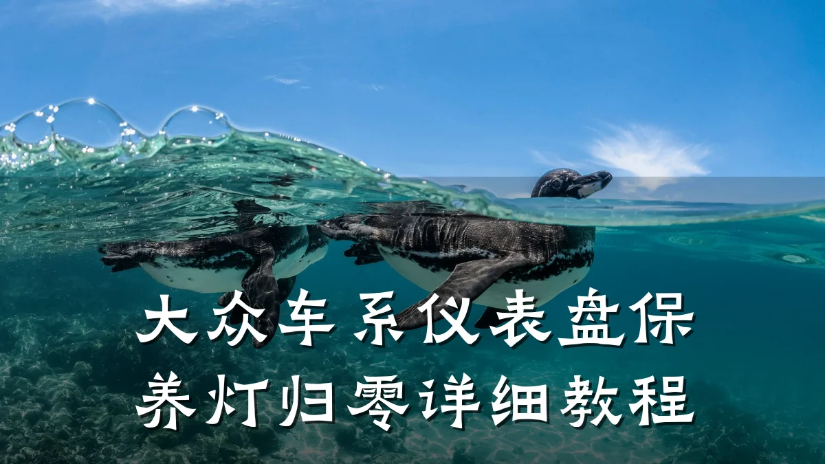 大众车系仪表盘保养灯归零详细教程