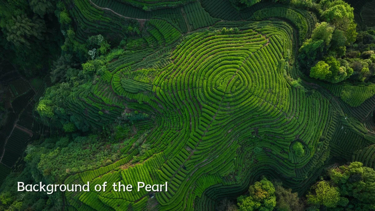 Background of the Pearl