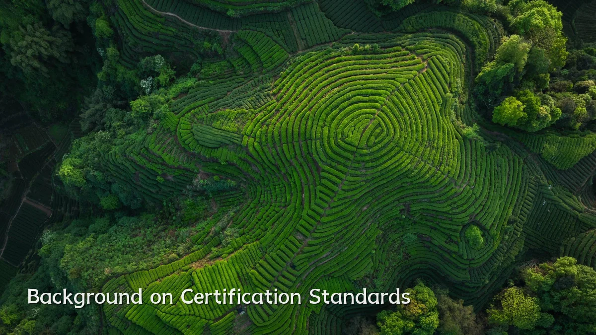 Background on Certification Standards