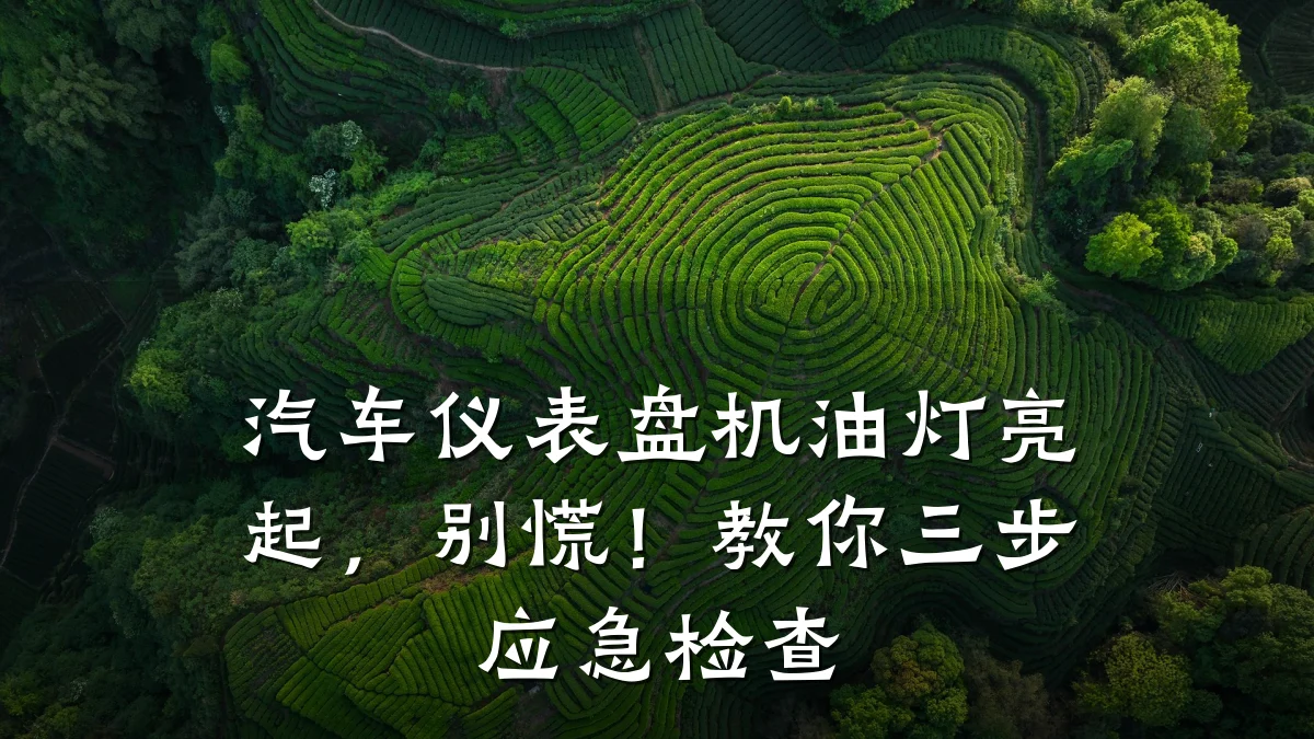 汽车仪表盘机油灯亮起，别慌！教你三步应急检查