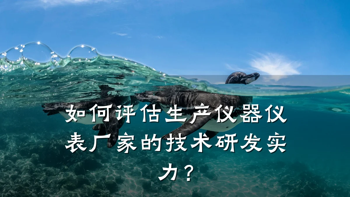 如何评估生产仪器仪表厂家的技术研发实力?
