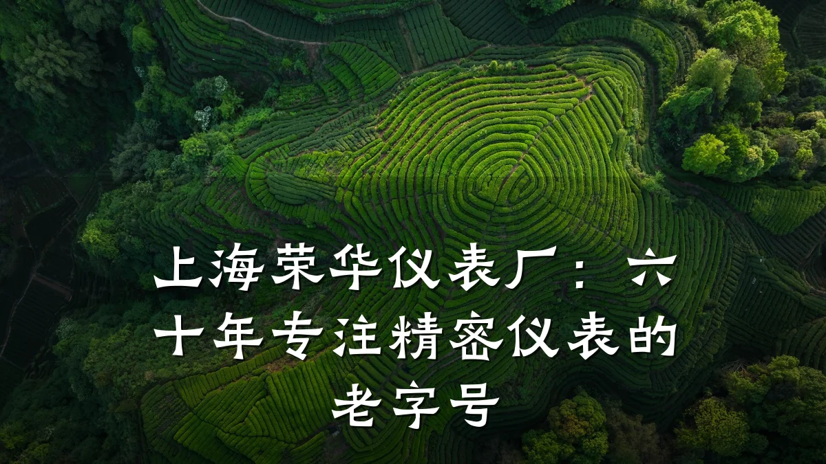 上海荣华仪表厂：六十年专注精密仪表的老字号