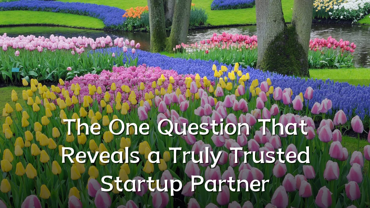 The One Question That Reveals a Truly Trusted Startup Partner
