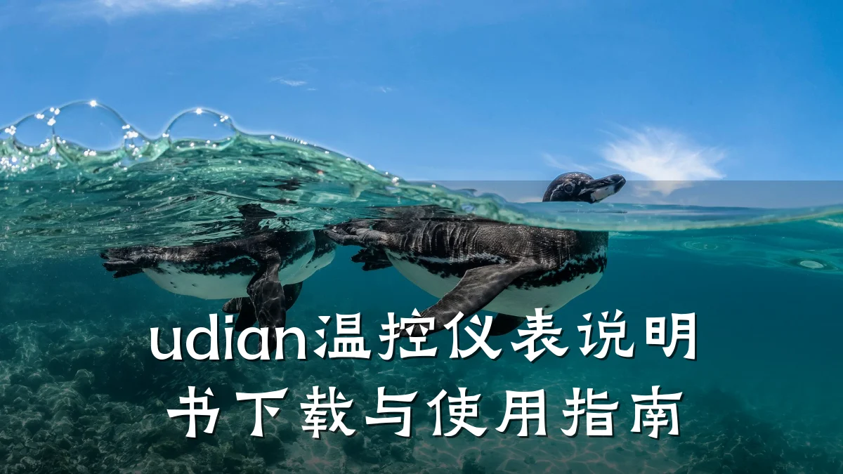 udian温控仪表说明书下载与使用指南