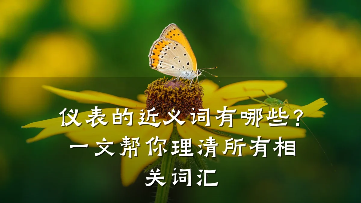 仪表的近义词有哪些?一文帮你理清所有相关词汇