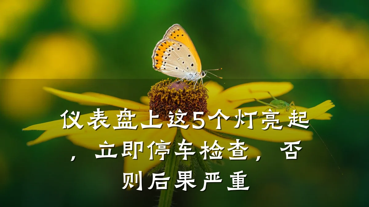仪表盘上这5个灯亮起,立即停车检查,否则后果严重