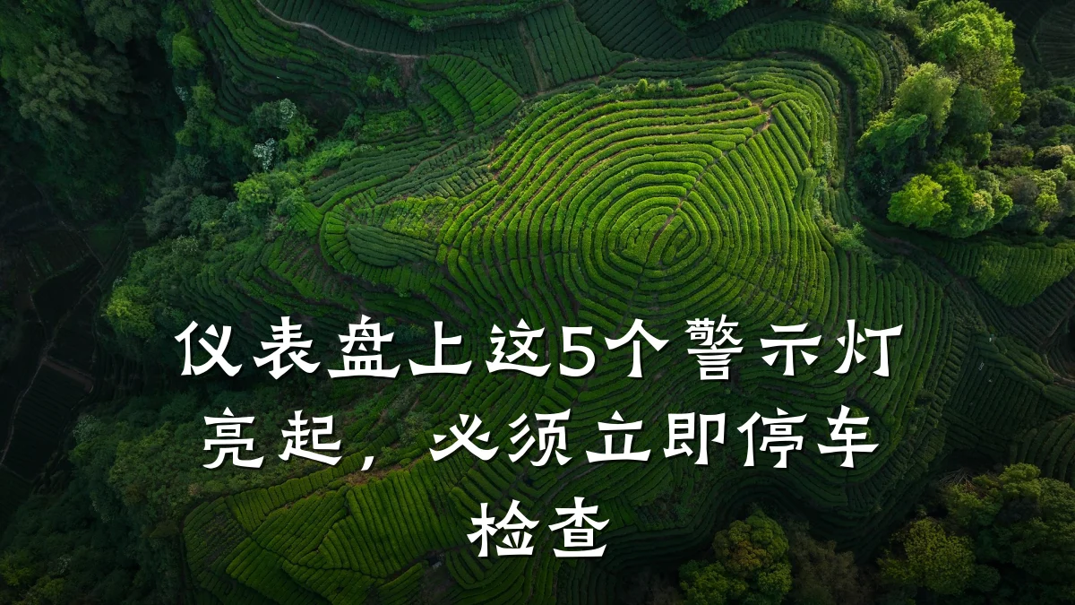 仪表盘上这5个警示灯亮起,必须立即停车检查