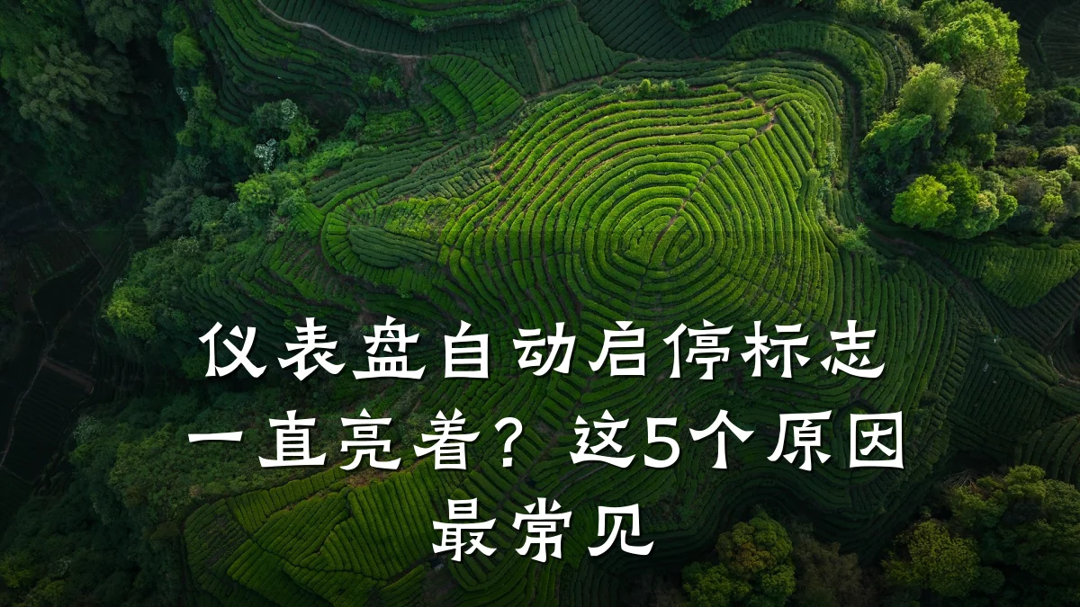 仪表盘自动启停标志一直亮着?这5个原因最常见