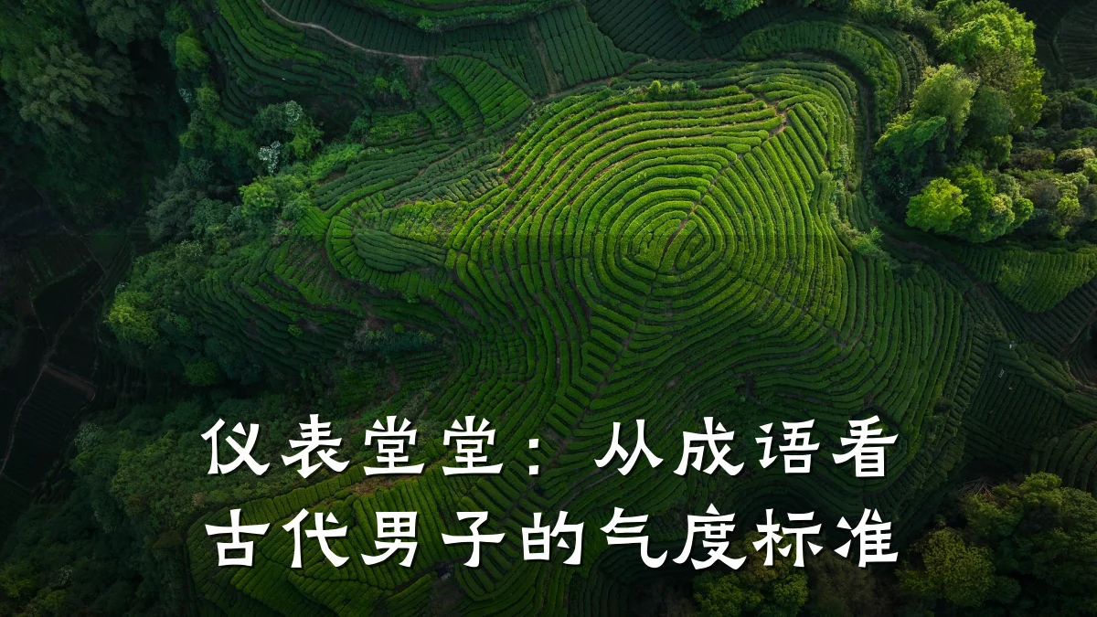 仪表堂堂:从成语看古代男子的气度标准
