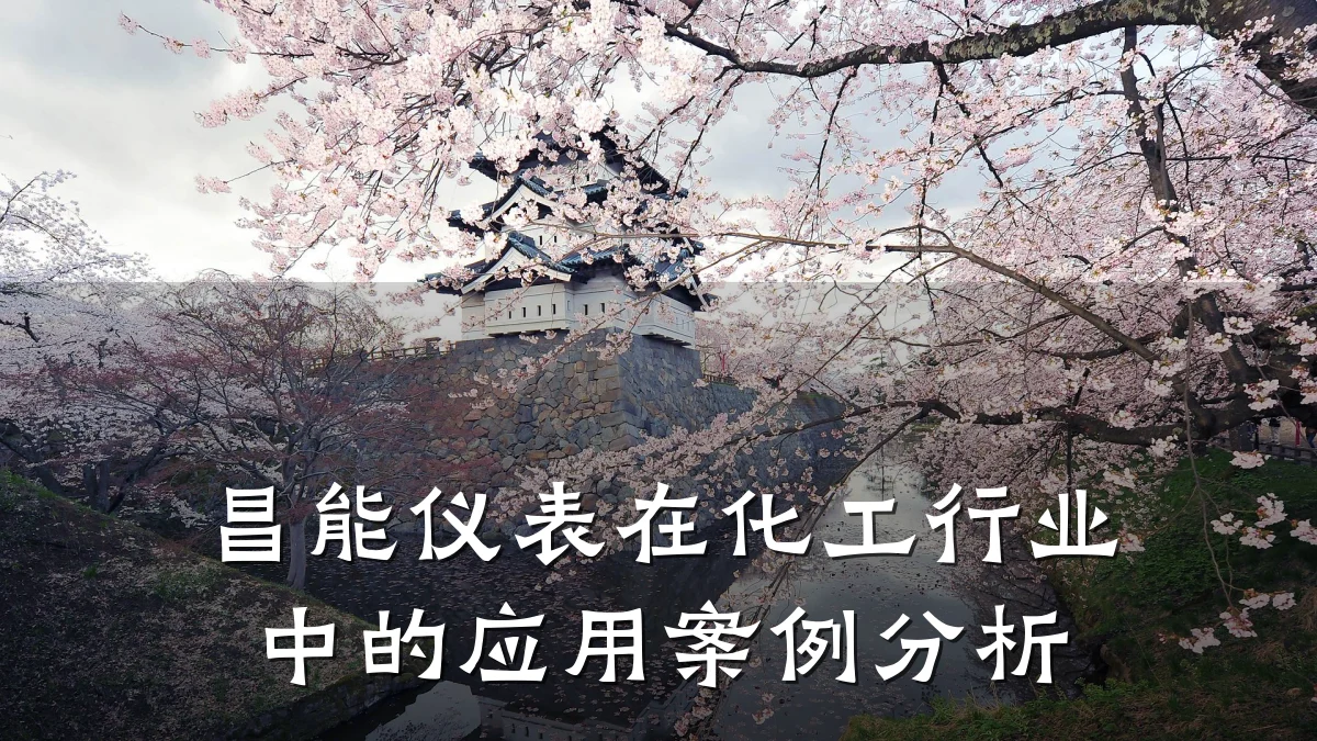 昌能仪表在化工行业中的应用案例分析