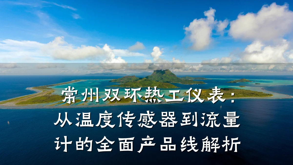 常州双环热工仪表:从温度传感器到流量计的全面产品线解析