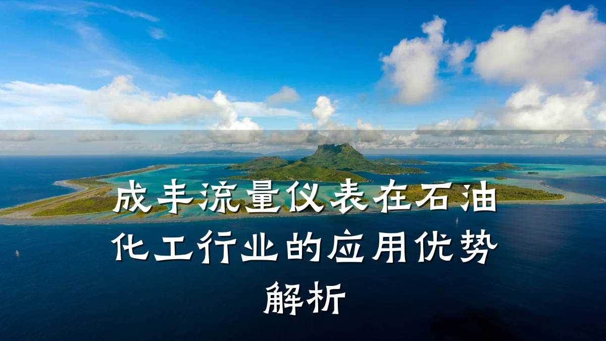 成丰流量仪表在石油化工行业的应用优势解析