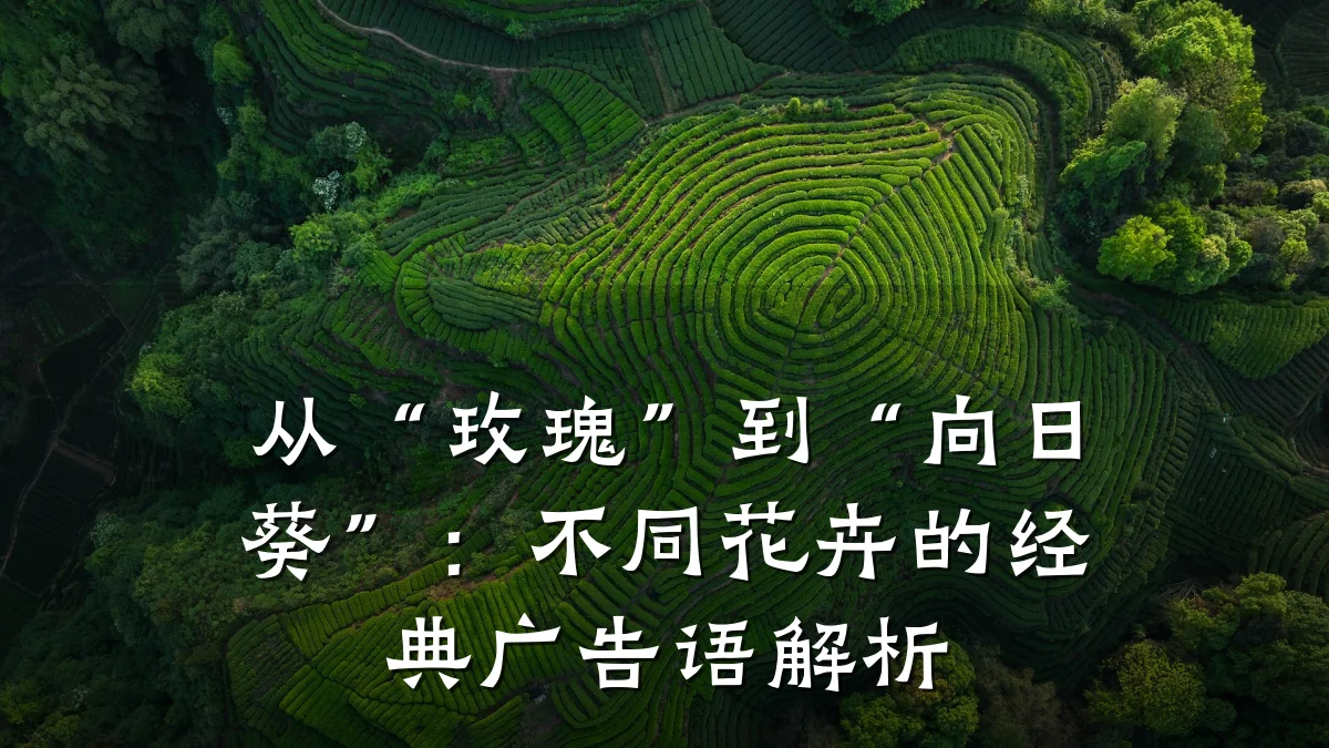 从“玫瑰”到“向日葵”:不同花卉的经典广告语解析
