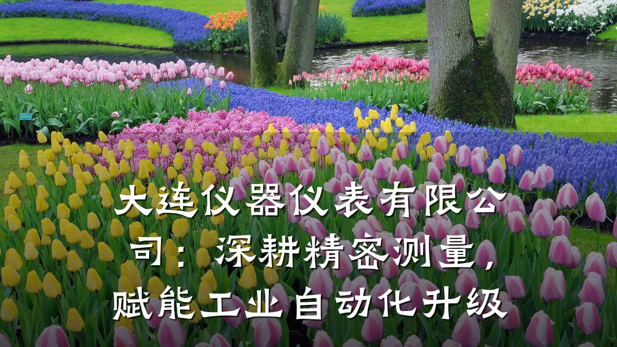 大连仪器仪表有限公司:深耕精密测量,赋能工业自动化升级