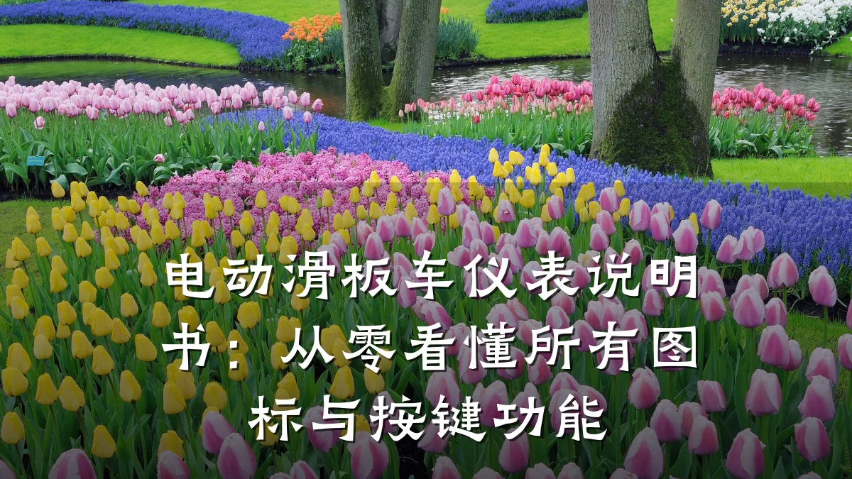 电动滑板车仪表说明书:从零看懂所有图标与按键功能