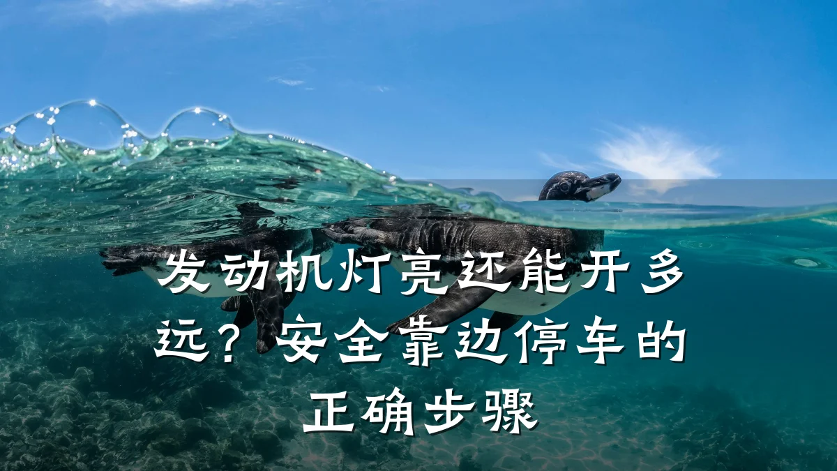 发动机灯亮还能开多远？安全靠边停车的正确步骤