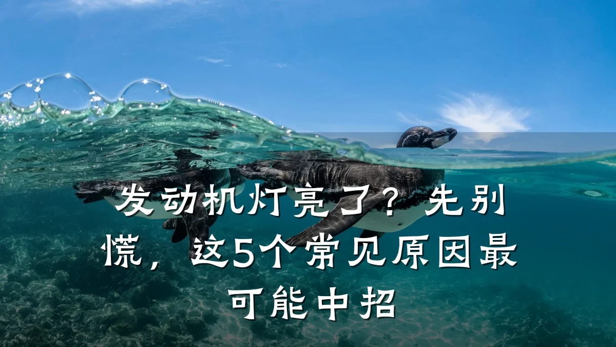 发动机灯亮了？先别慌，这5个常见原因最可能中招