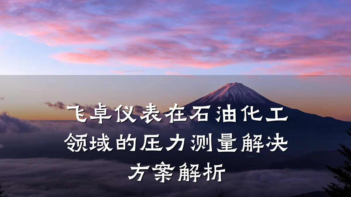 飞卓仪表在石油化工领域的压力测量解决方案解析