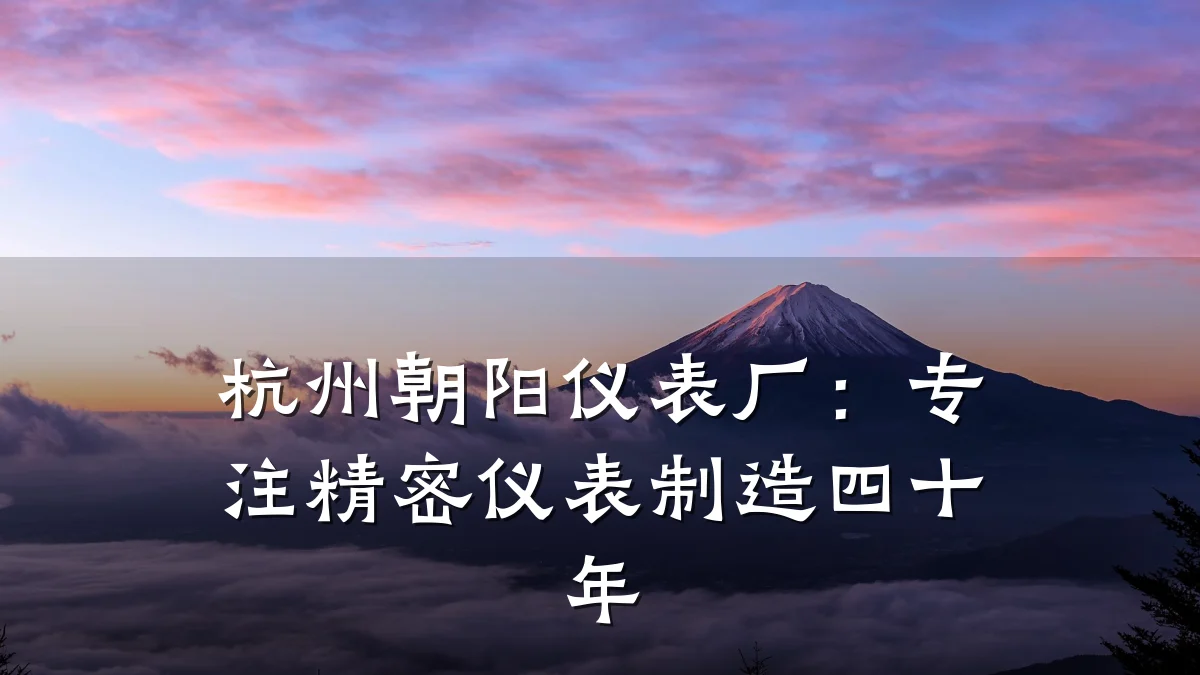 杭州朝阳仪表厂:专注精密仪表制造四十年