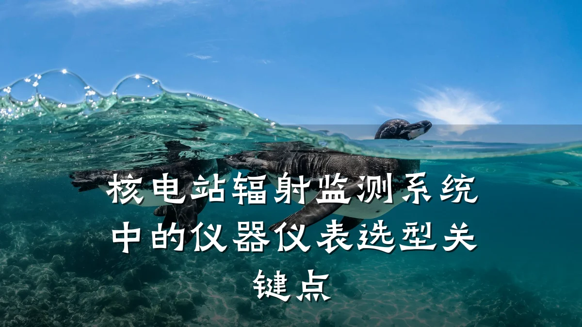 核电站辐射监测系统中的仪器仪表选型关键点