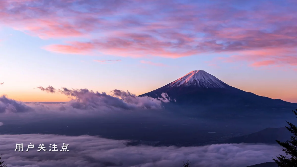用户关注点